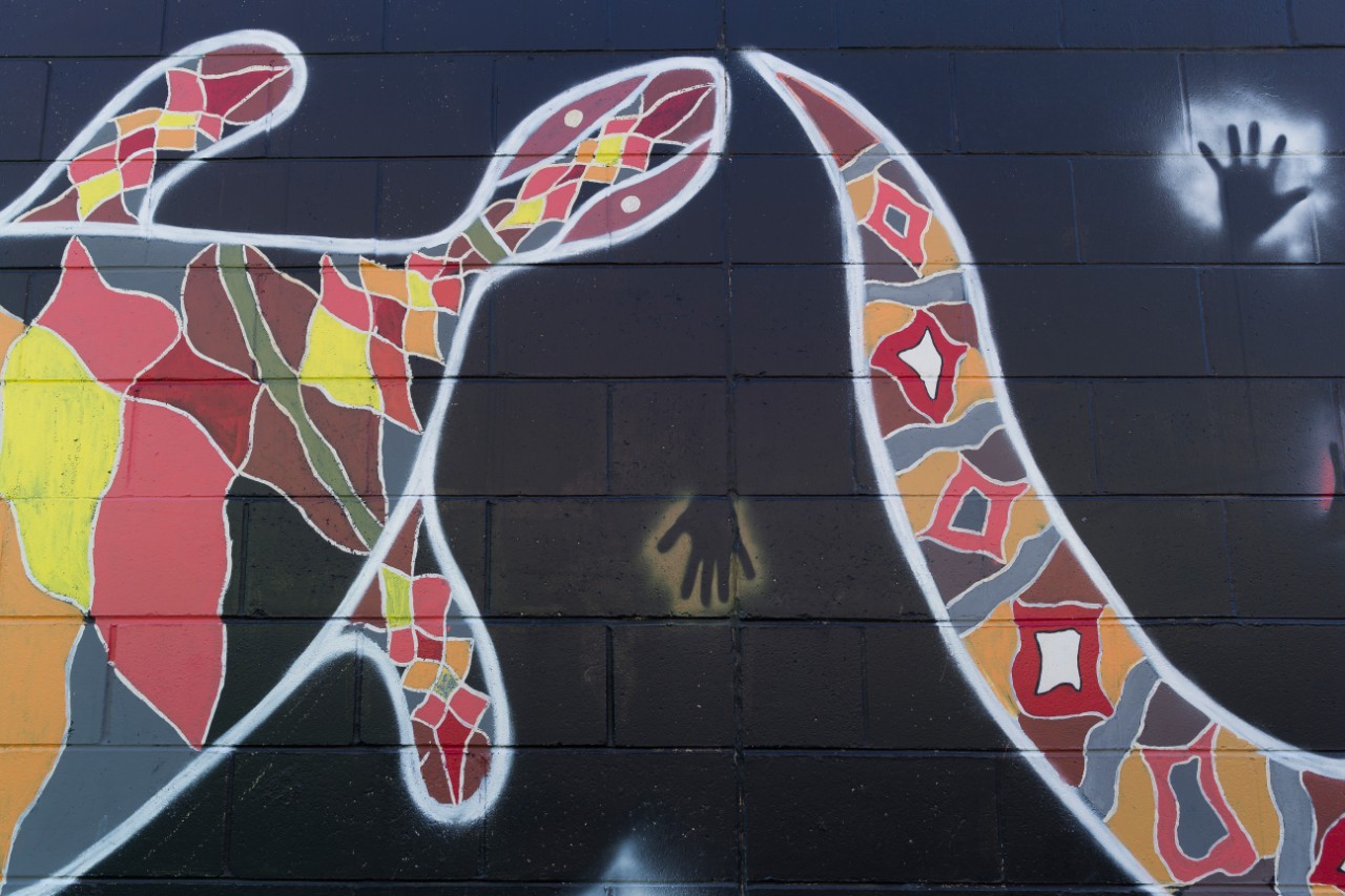 Indigenous artwork of turtle on wall