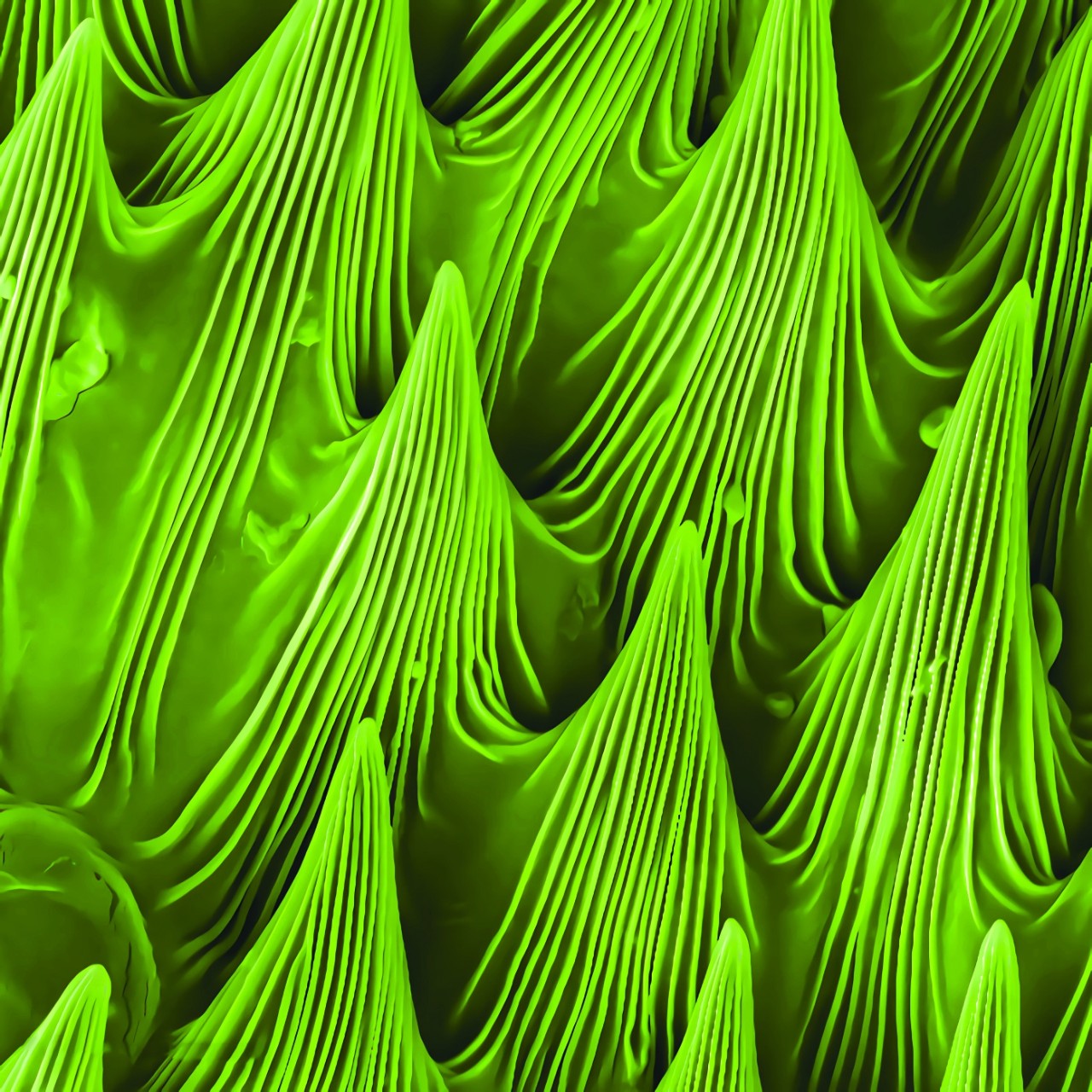 Like lime green peaks of whipped cream with a black background. 