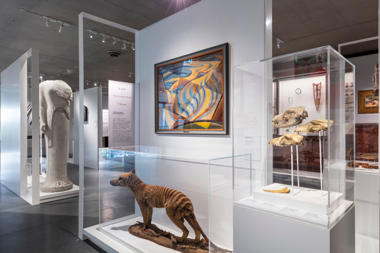 Left to Right: ‘Open cut mine’ by Weaver Hawkins, 1960; taxidermy specimen, Thylacinus cynocephalus (Harris 1808); Thylacine (Tasmanian tiger) skulls and jawbone, collected in 1808