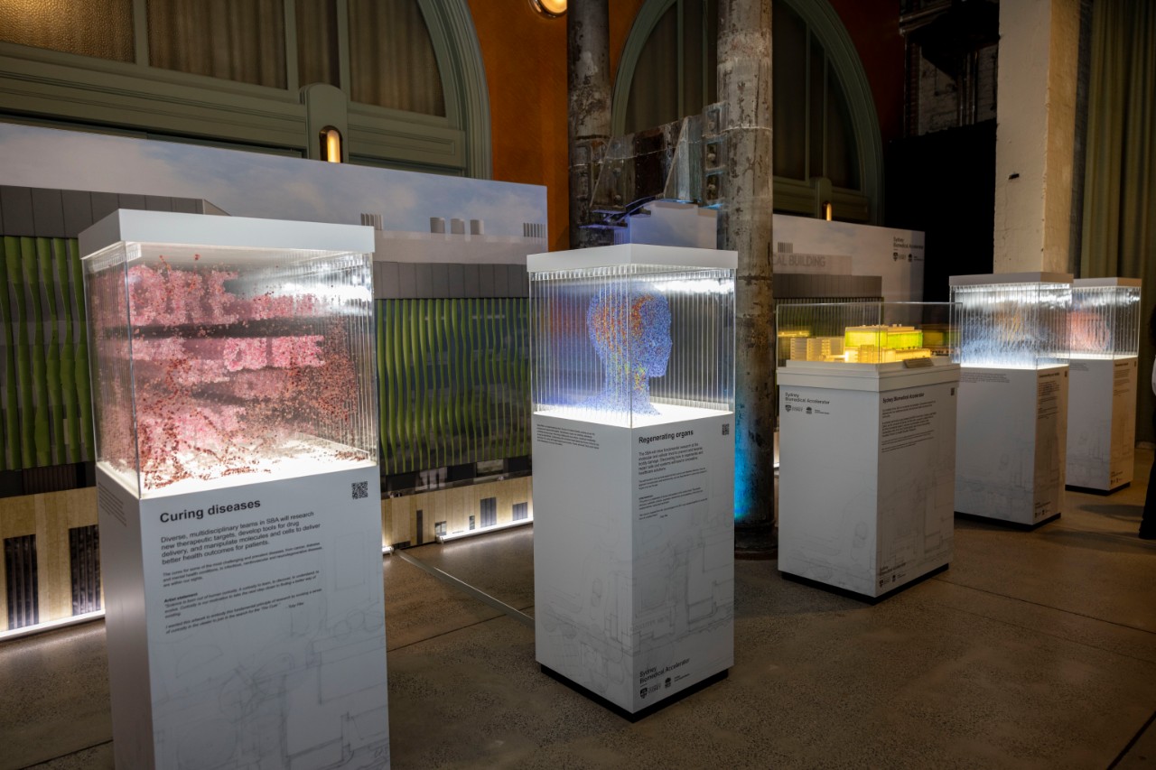 Plinths displaying 3D printed models 