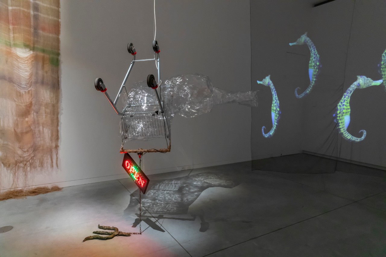 Art works in Mikala Dwyer's Penelope and the Seahorse exhibtion