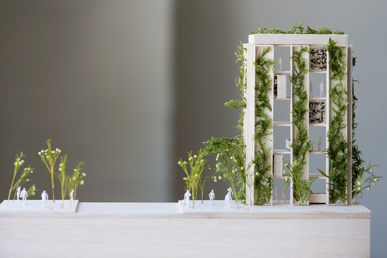 Eloise's model showing her vision of biophilic urbanism.