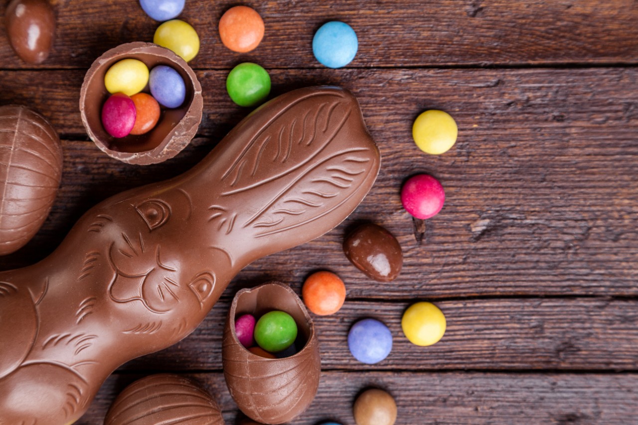 Chocolate easter bunny