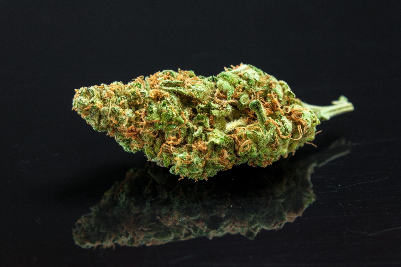 photo of a bottle of cannabis oil