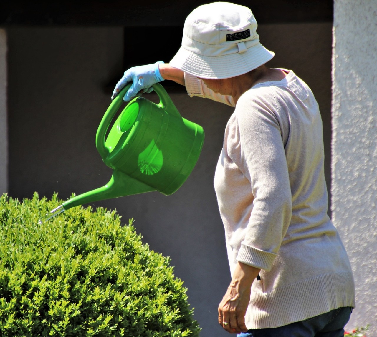 Older person gardening 