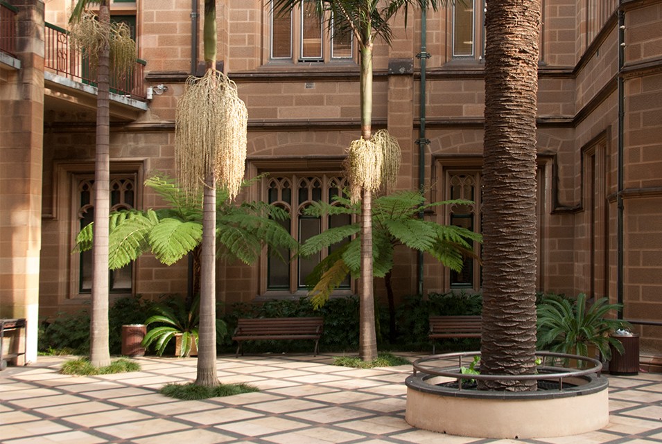 Anderson Stuart Courtyard 