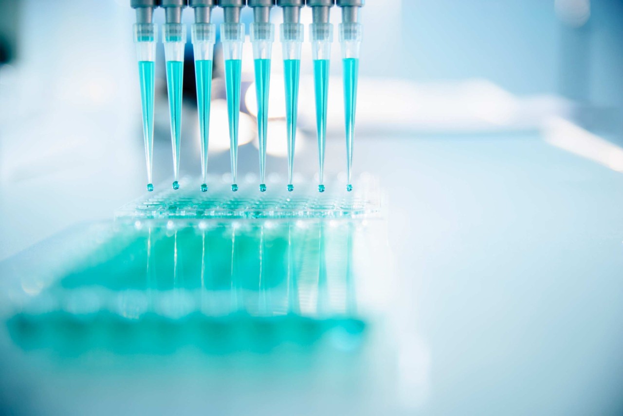 Test tubes used for medical research. 