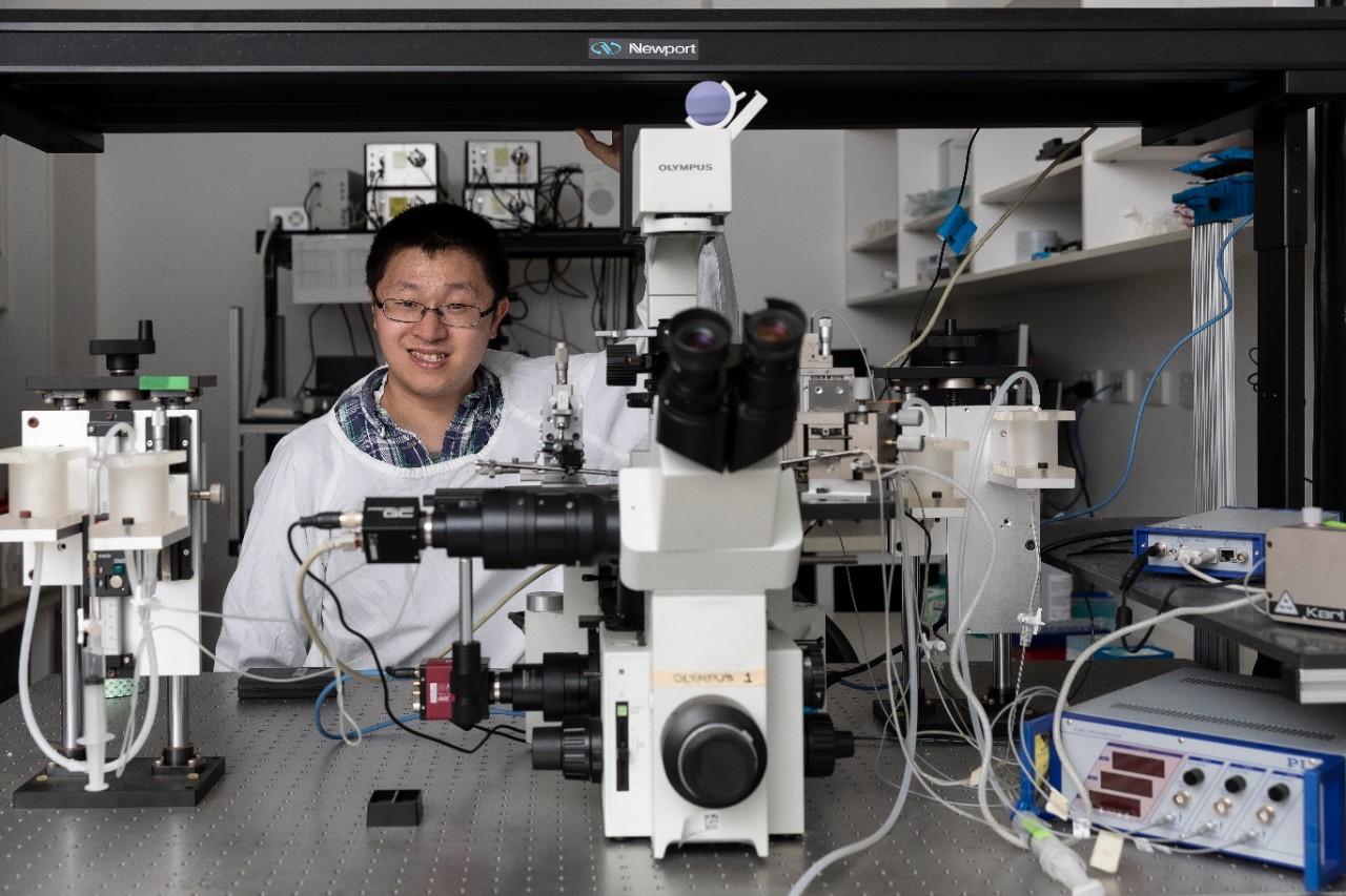 Professor Lining Arnold Ju