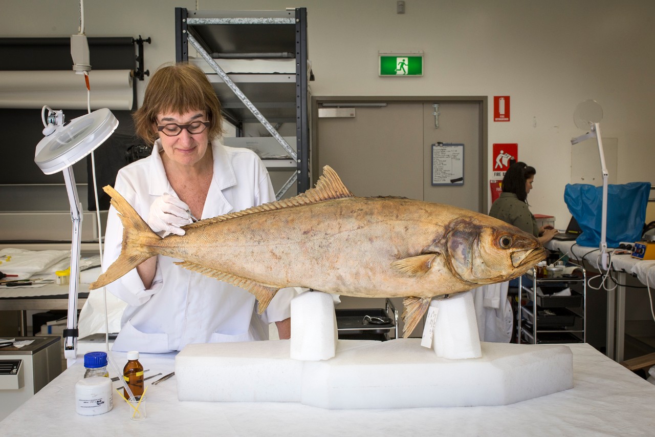 Sasha Stollman and a fish