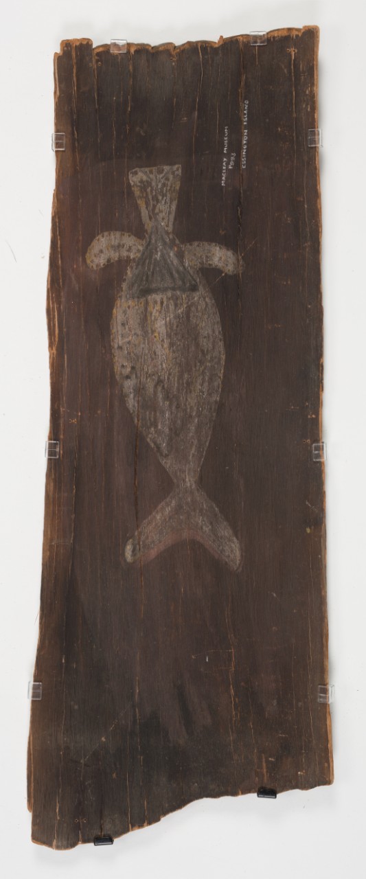 Painting of a dugong on bark