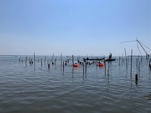 Conservation work being conducted on Lake Vembanad