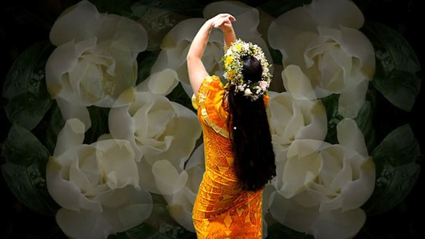 Morgan Hogg still shot from Ariki vaine