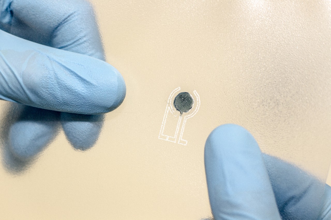 Printable food ink sensor developed by Dr Sina Naficy