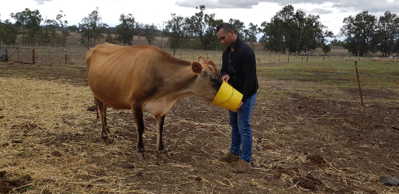 Dr Abrao Jose Pereira. 