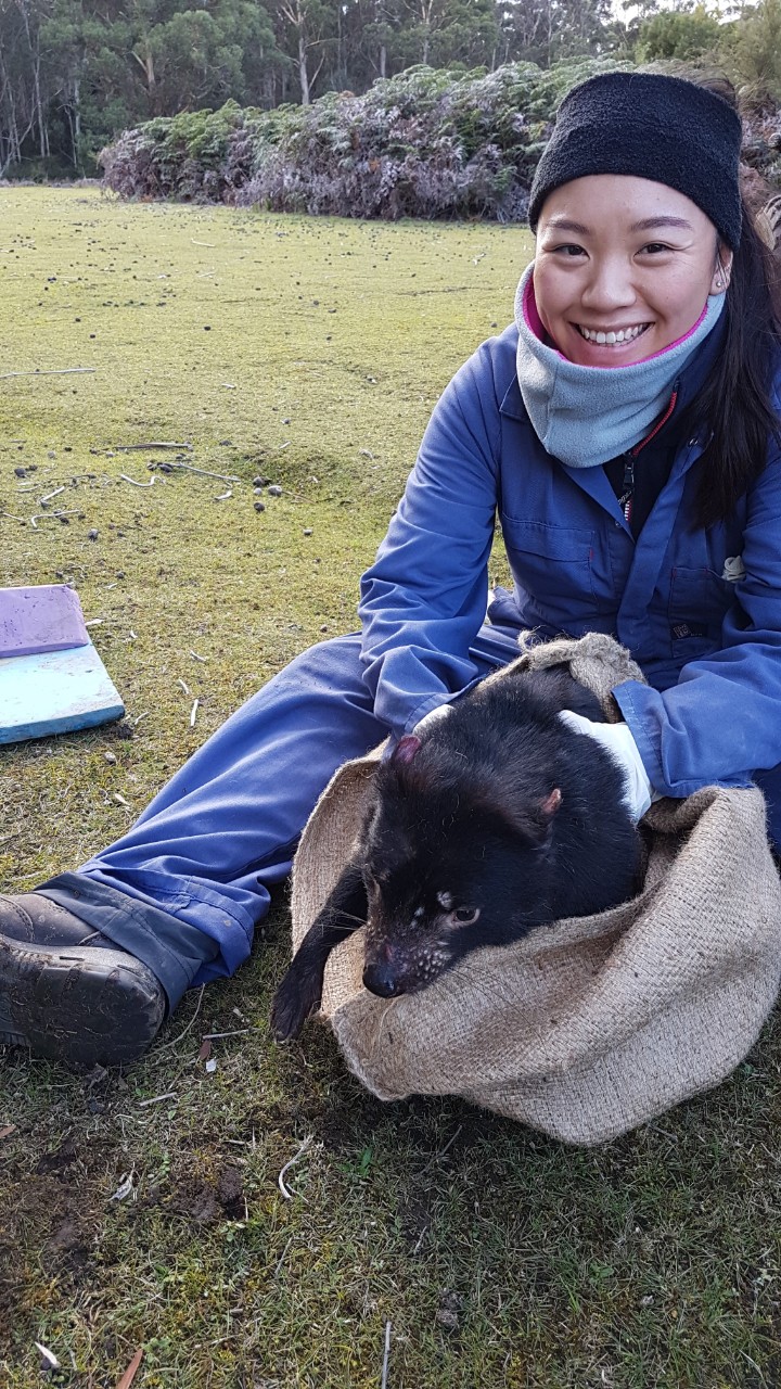Rowena Chong holding a Tasmanian devil.