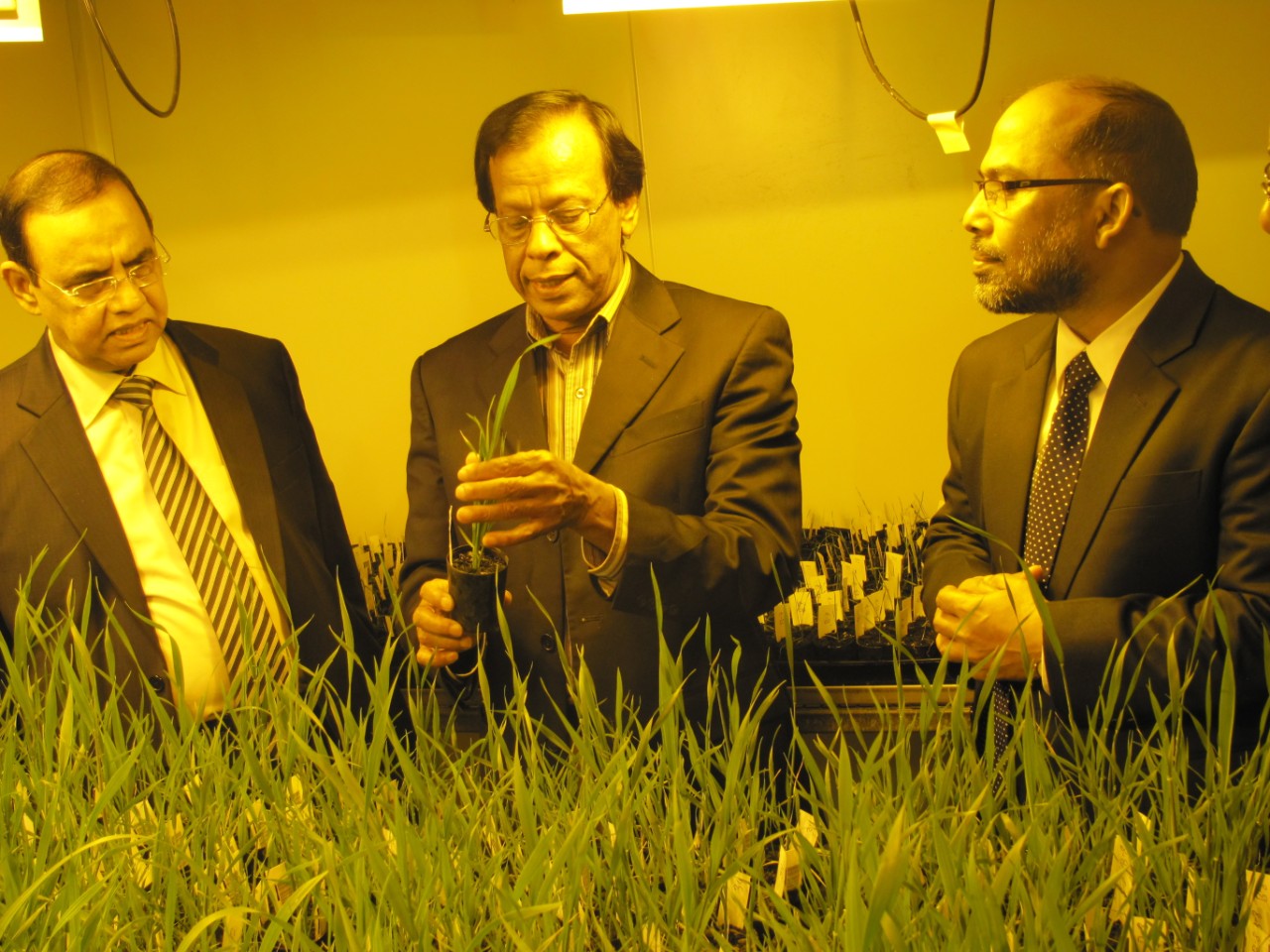 Dr Nizam Ahmed in the PBI