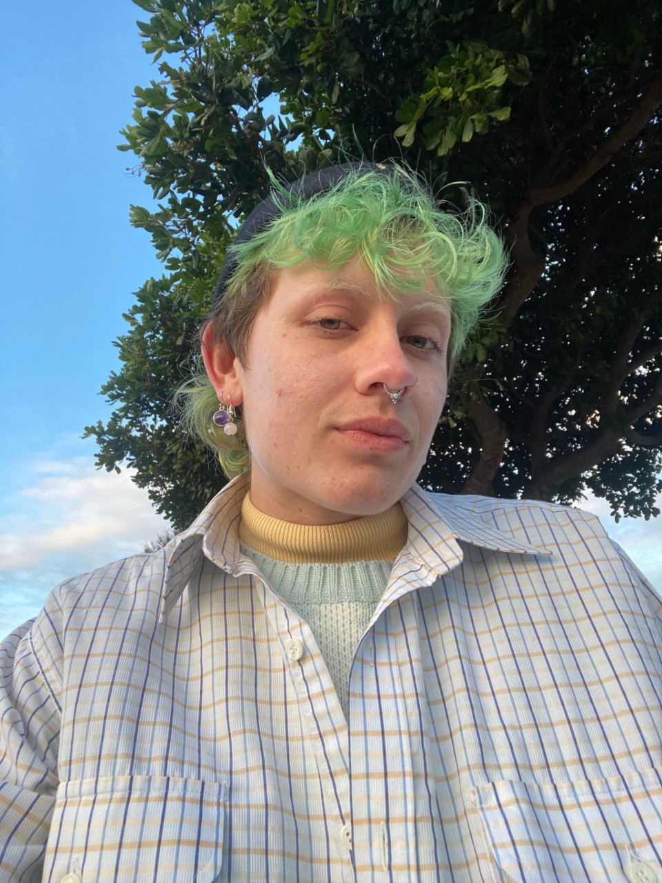A headshot of Beau Sheehan. Beau is wearing a white plaid shirt and has short brown hair with a green fringe. 