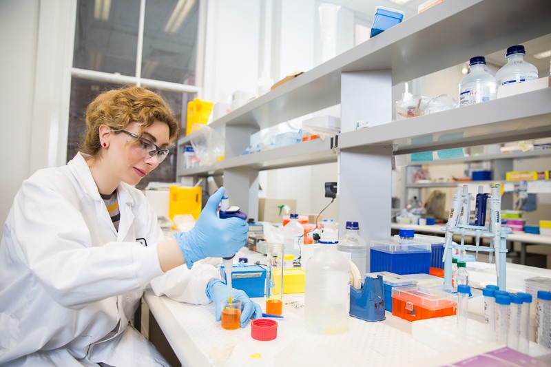 Dr Pegah Varamini in the laboratory 