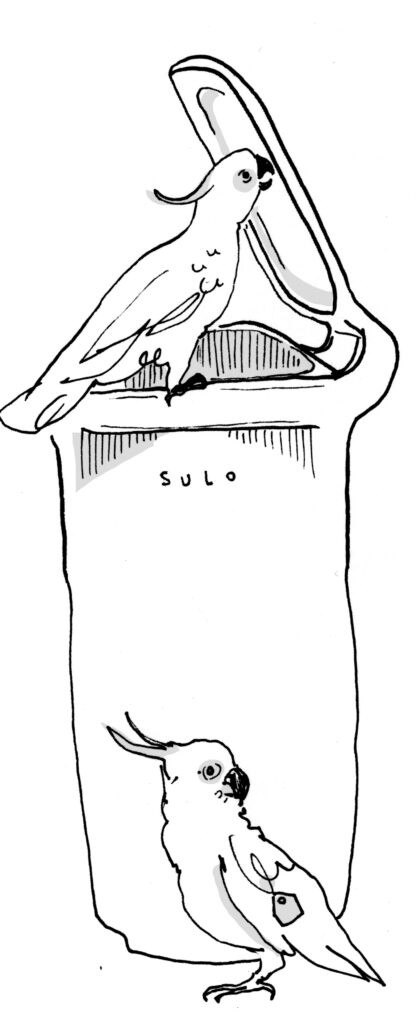 Cockatoo illustration by Zoë Sadokierski