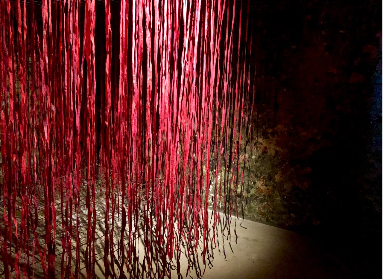 Corinne Brittain’s installation, STRANDED (I have done nothing wrong) 