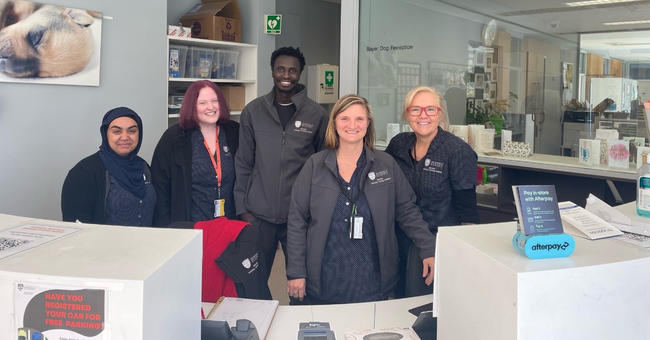 Five reception team members standing behind reception desk ready to assist with pet emergencies and appointment bookings.