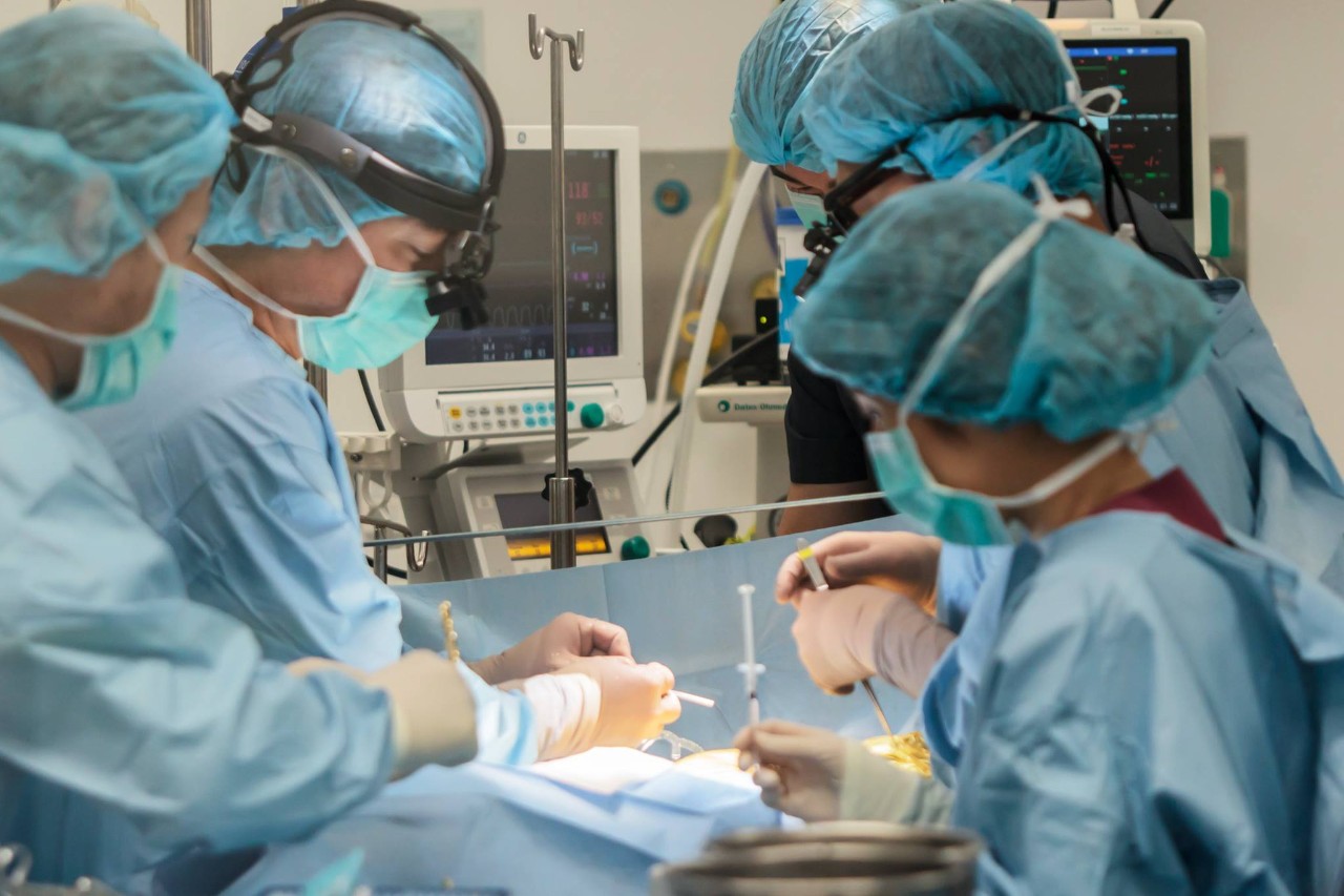 Emergency pet surgery at UVTHS.