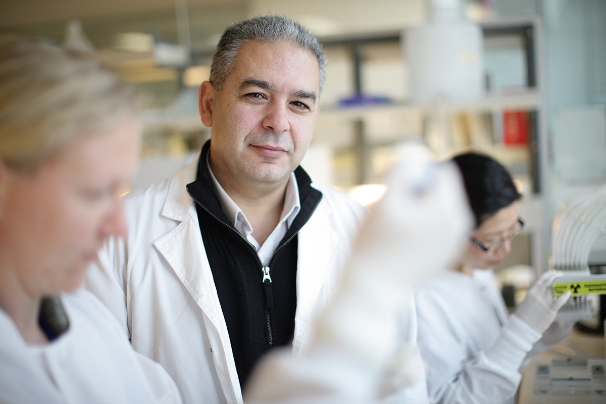 Michael Kassiou in the lab