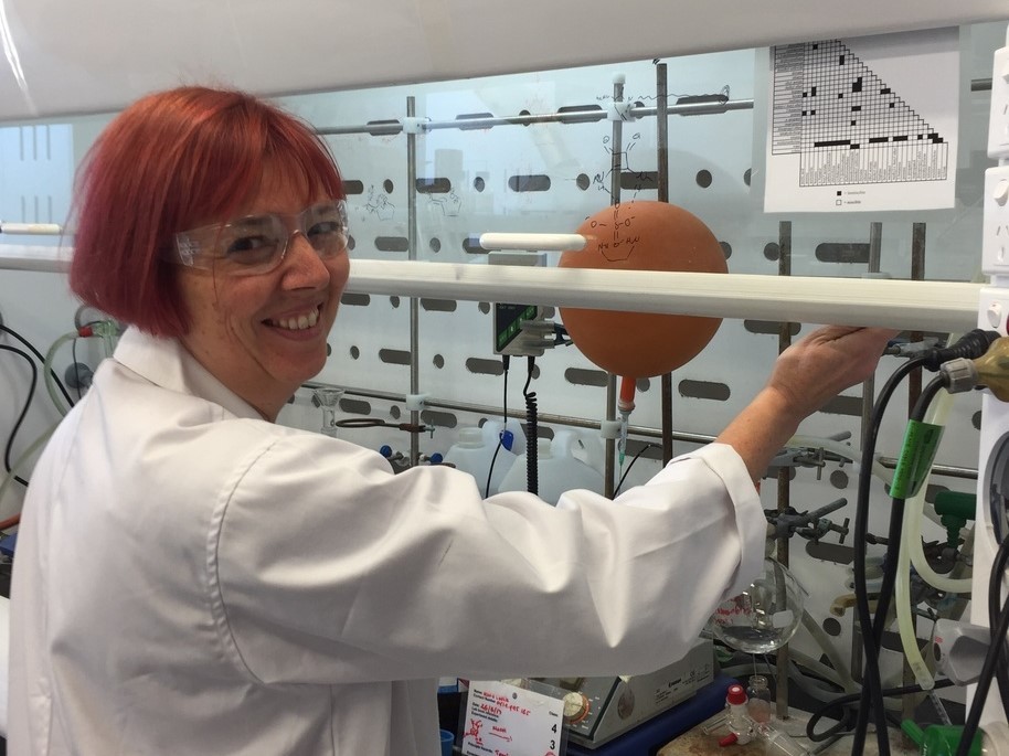 Professor Kate Jolliffe will lead the Sydney node of CIPPS.