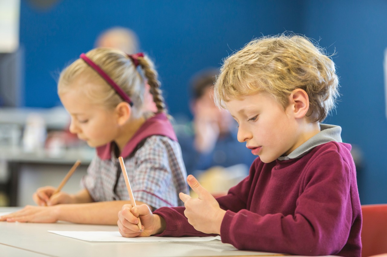 Primary school children in a classroom. 