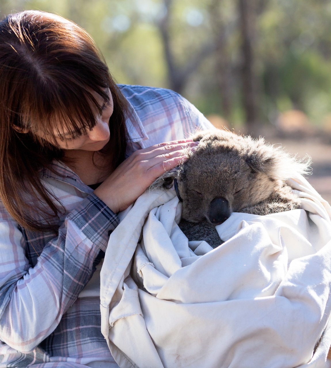 photo of Dr Valentina Mella holding a koala in a blanket
