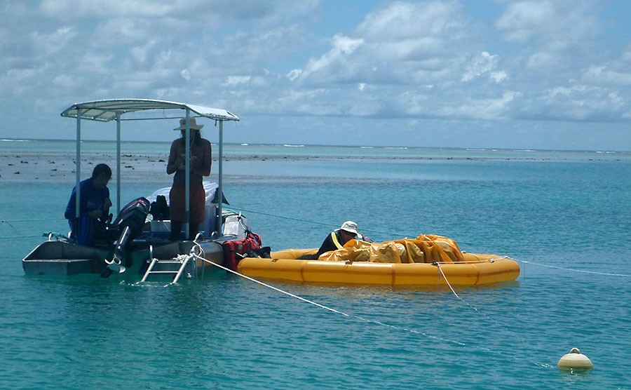 The research team on One Tree Island setting up the "pool" to manipulate natural seawater conditions to be pumped onto the reef.