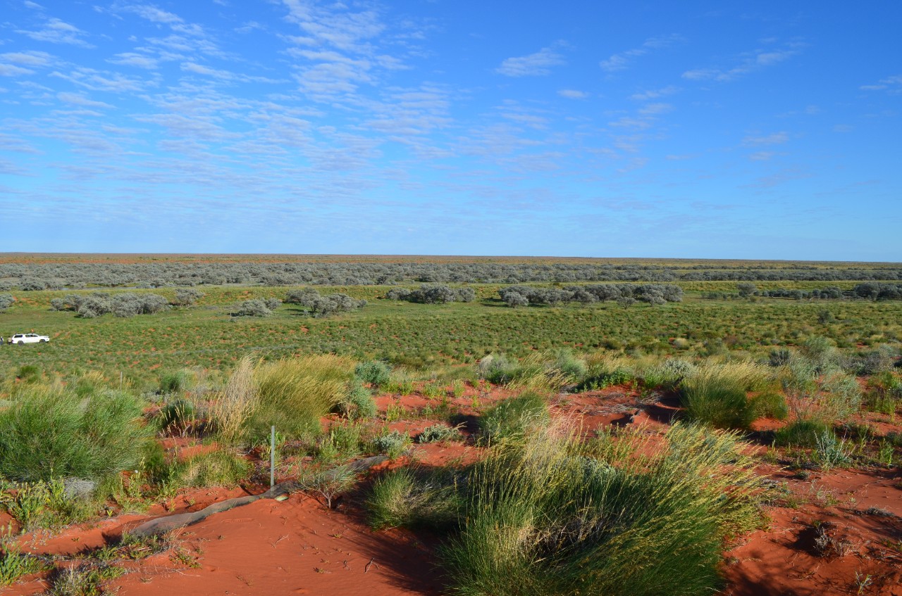 photo of the Simpson Desert