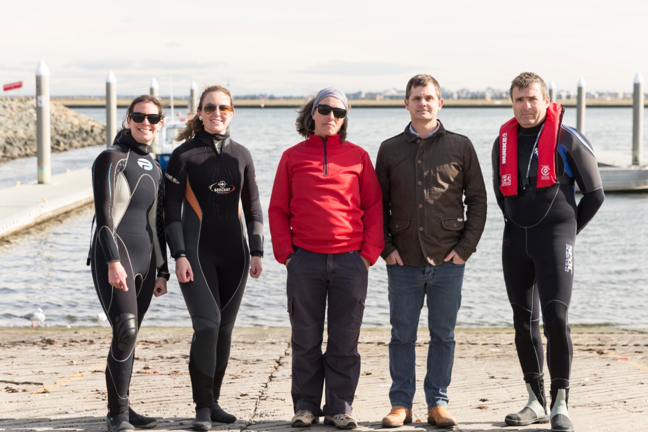 Researchers by the harbour