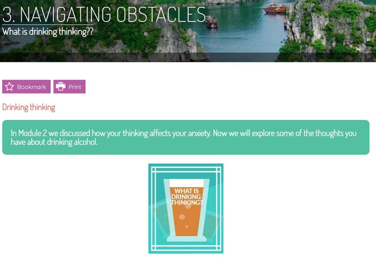 Module: What is drinking thinking?
