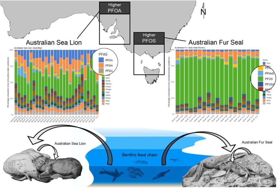An image showing locations of colonies affected by PFAS.