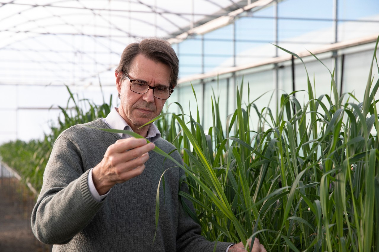 Professor Robert Park